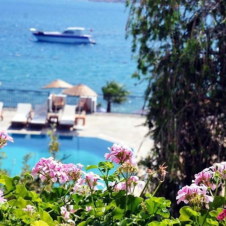 טורבה Omar Hotel & Suites מראה חיצוני תמונה