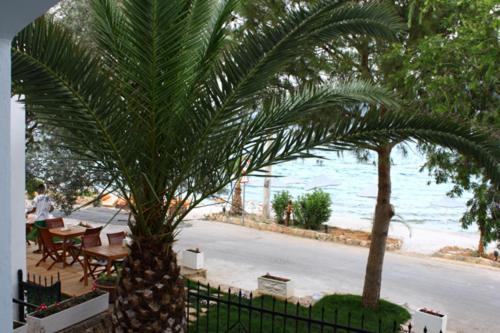 טורבה Omar Hotel & Suites מראה חיצוני תמונה